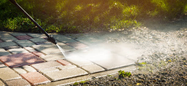 Best Animal Enclosure Cleaning  in Weigelstown, PA